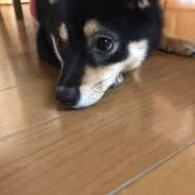 R★Nの画像