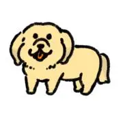 kichiの画像
