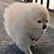 ナミ
