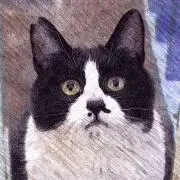 はるるの画像