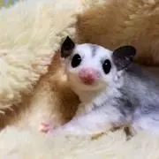 ちか