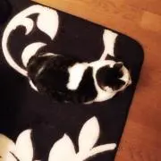 かおるの画像