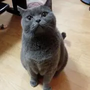 ごんきるあ