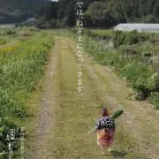 ただ