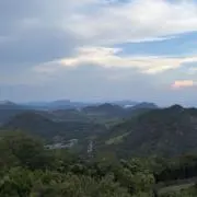 りくの画像