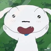 シロの画像