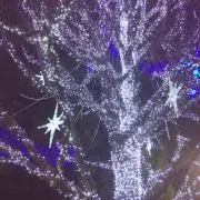 リンゴジュースの画像