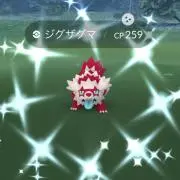 さとちゃんの画像