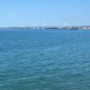 たーたん