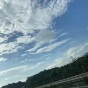 峯田の画像