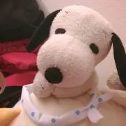 みえい