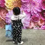 ᯽nao᯽の画像