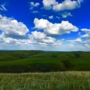 レモングラスの画像