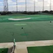 アンツ（6/25まで発送不可）の画像