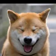 AKI