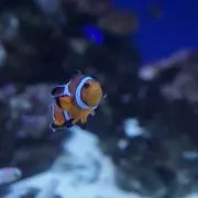 さとう丸※簡単にプロフありますの画像
