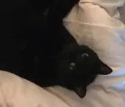 乙の画像
