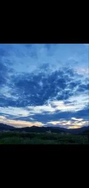奏の画像