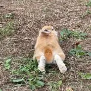ちかの画像