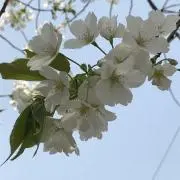 くう