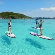 めるめる