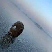 おちょ
