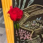 スターさんの画像