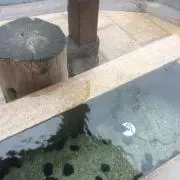 谷山区長の画像