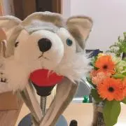のぽの画像