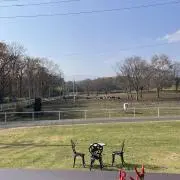 のん