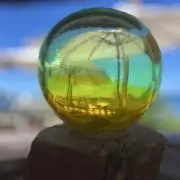 ふくの画像