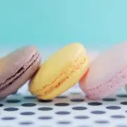 kaiの画像