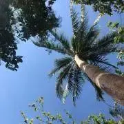 moccomoko