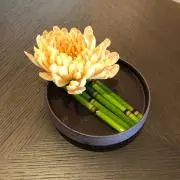 nottanの画像