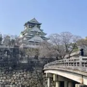 ドンちゃん【24時間以内発送】の画像