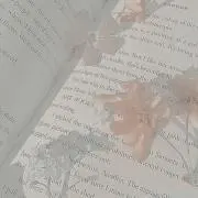 みいの画像
