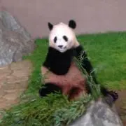 なこの画像