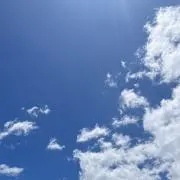 りんごの画像