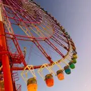たかの画像