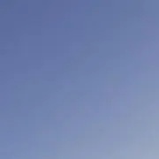 monaの画像
