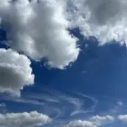 ショコラの画像