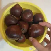 歯ッハの画像