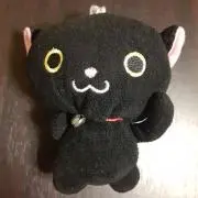にゃんたの画像