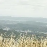 Nの画像