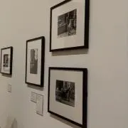 Arinの画像