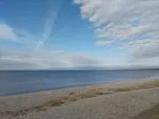 ふわわの画像