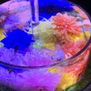 ことはの画像