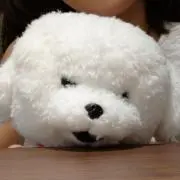nnnnnnnnnnの画像
