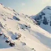 Runyの画像
