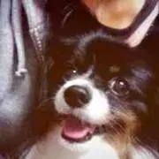 kto